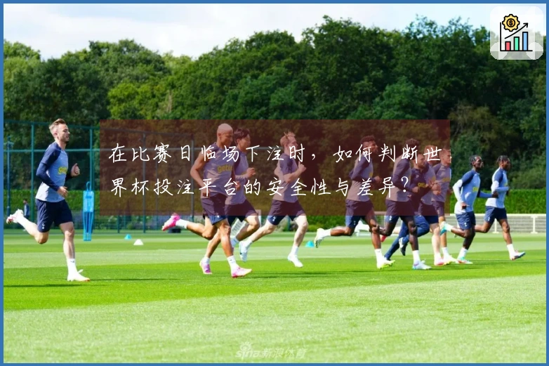 在比赛日临场下注时，如何判断世界杯投注平台的安全性与差异？