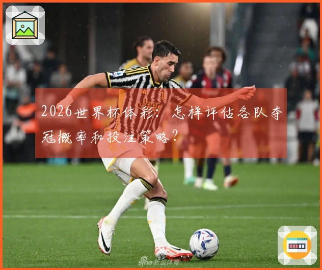 2026世界杯体彩：怎样评估各队夺冠概率和投注策略？