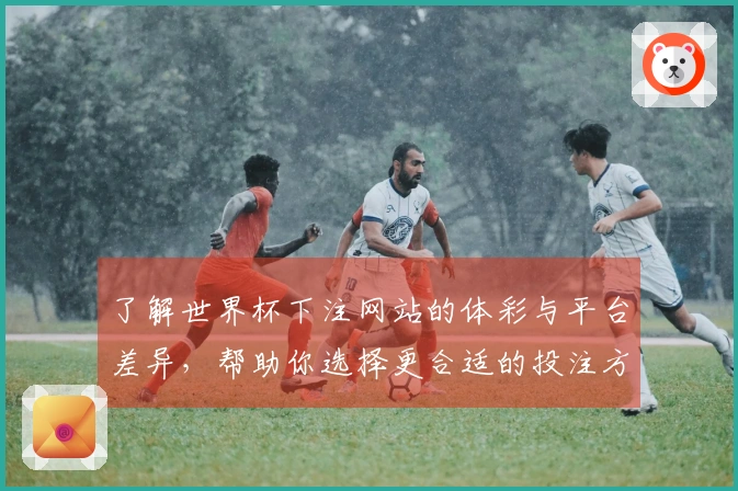 了解世界杯下注网站的体彩与平台差异，帮助你选择更合适的投注方式