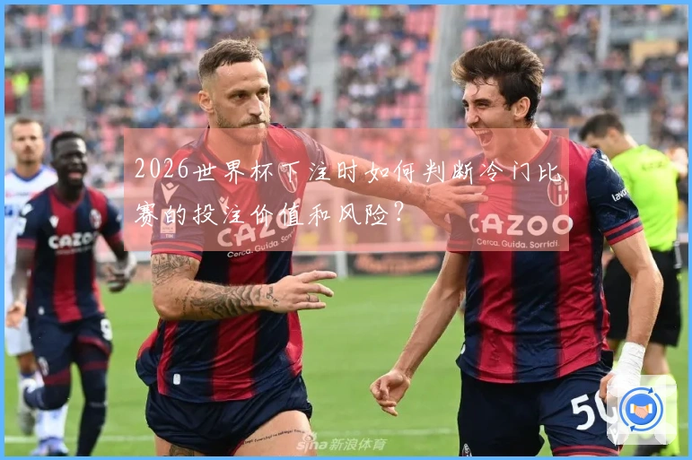 2026世界杯下注时如何判断冷门比赛的投注价值和风险？