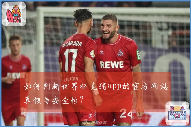 如何判断世界杯竞猜app的官方网站真假与安全性？