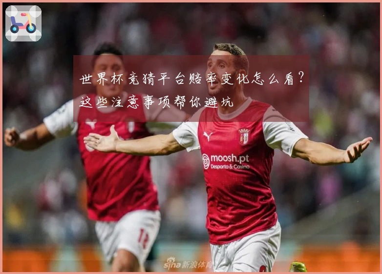 世界杯竞猜平台赔率变化怎么看？这些注意事项帮你避坑