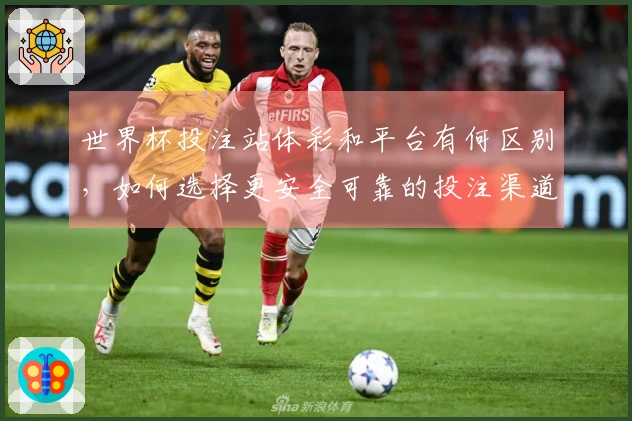 世界杯投注站体彩和平台有何区别，如何选择更安全可靠的投注渠道