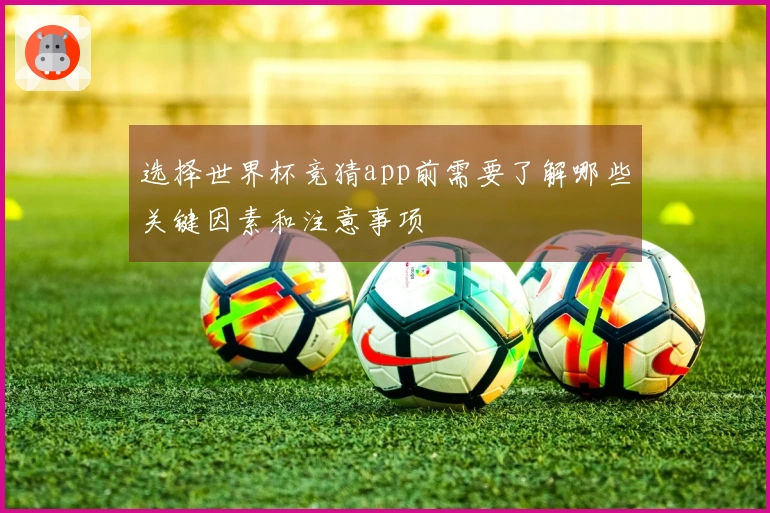 选择世界杯竞猜app前需要了解哪些关键因素和注意事项