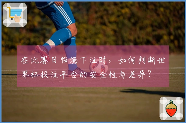 在比赛日临场下注时，如何判断世界杯投注平台的安全性与差异？