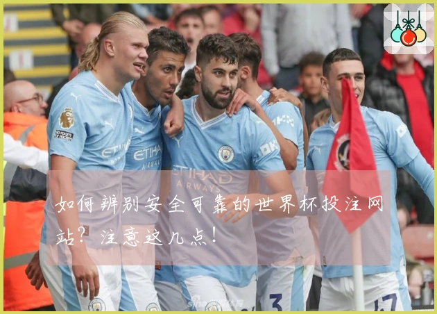 如何辨别安全可靠的世界杯投注网站？注意这几点！